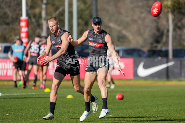 AFL 2024 Training - Collingwood 150824 - A-53156849