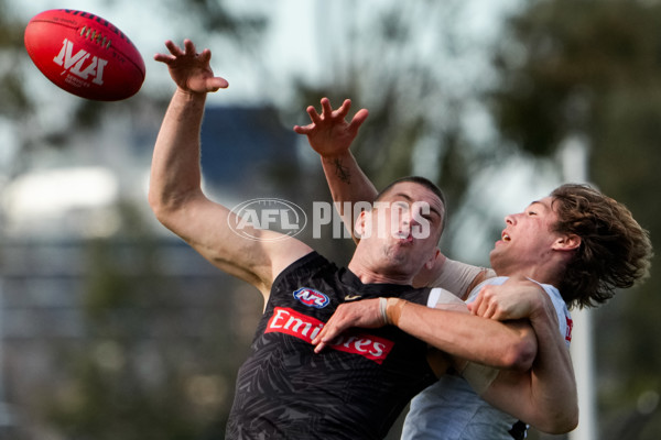 AFL 2024 Training - Collingwood 150824 - A-53156852