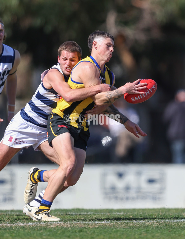 VFL 2024 Round 21 - Sandringham v Geelong - A-53310079