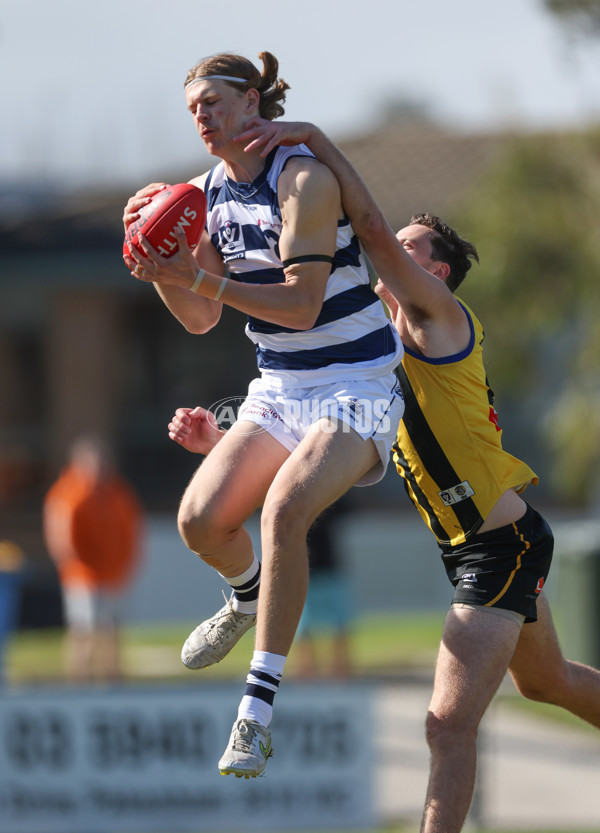 VFL 2024 Round 21 - Sandringham v Geelong - A-53310087