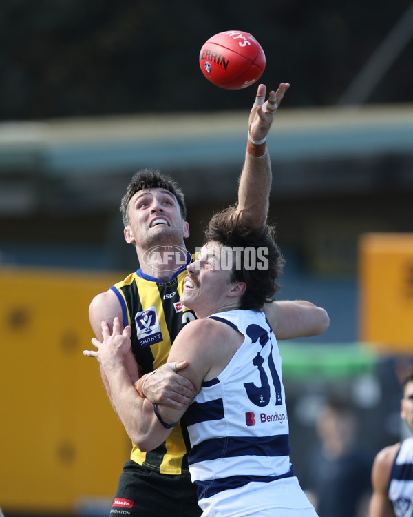 VFL 2024 Round 21 - Sandringham v Geelong - A-53310088