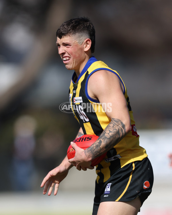 VFL 2024 Round 21 - Sandringham v Geelong - A-53310089