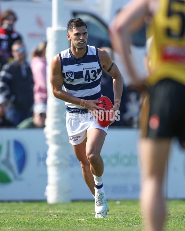 VFL 2024 Round 21 - Sandringham v Geelong - A-53310090