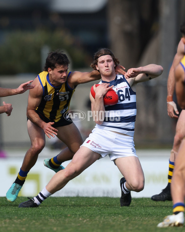 VFL 2024 Round 21 - Sandringham v Geelong - A-53310091