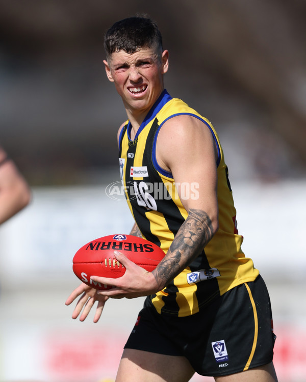 VFL 2024 Round 21 - Sandringham v Geelong - A-53310093