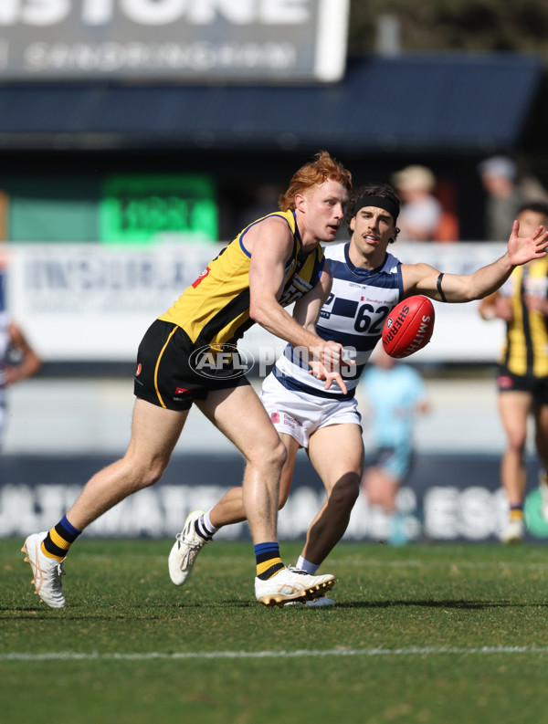 VFL 2024 Round 21 - Sandringham v Geelong - A-53310096