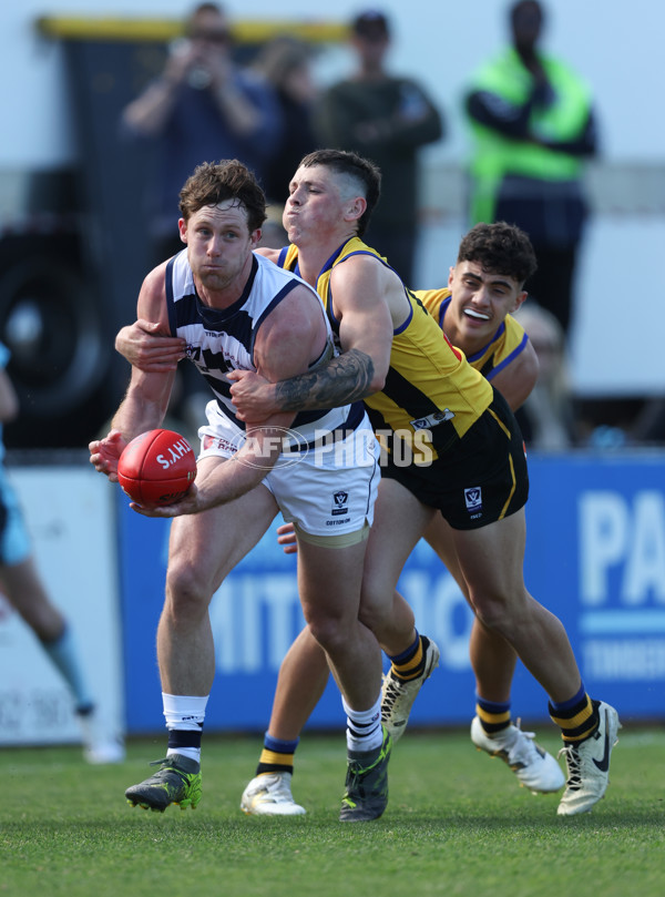 VFL 2024 Round 21 - Sandringham v Geelong - A-53310098