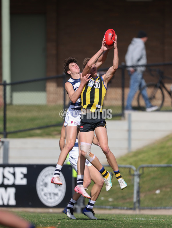 VFL 2024 Round 21 - Sandringham v Geelong - A-53310975