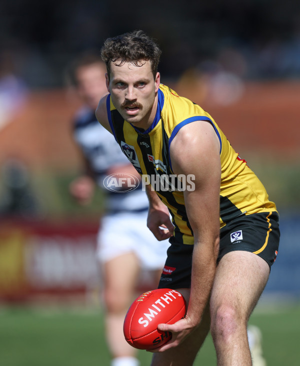 VFL 2024 Round 21 - Sandringham v Geelong - A-53310979