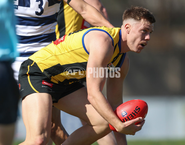 VFL 2024 Round 21 - Sandringham v Geelong - A-53310980