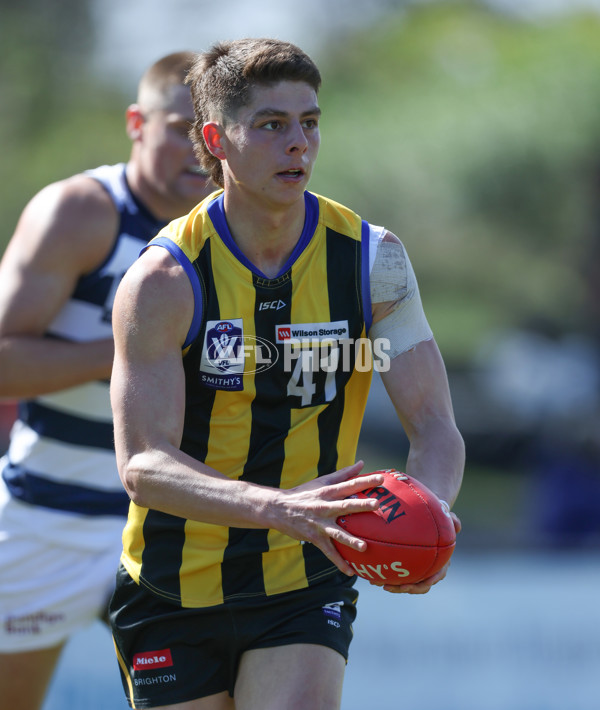 VFL 2024 Round 21 - Sandringham v Geelong - A-53310981