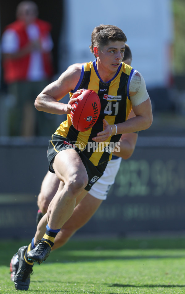 VFL 2024 Round 21 - Sandringham v Geelong - A-53310982