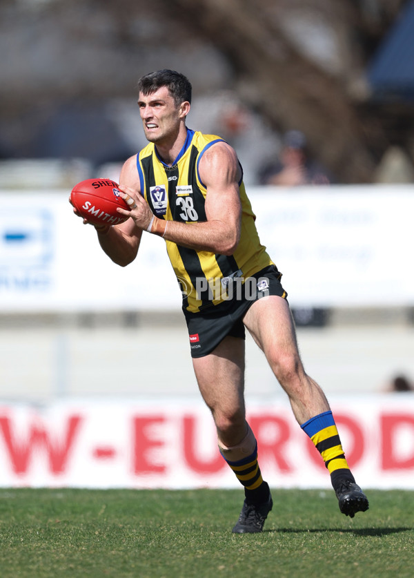 VFL 2024 Round 21 - Sandringham v Geelong - A-53310987