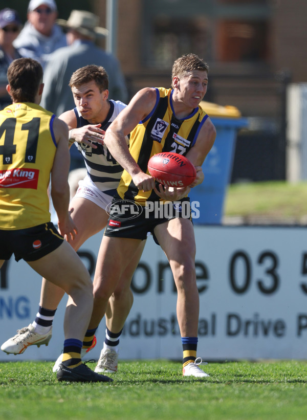 VFL 2024 Round 21 - Sandringham v Geelong - A-53310990