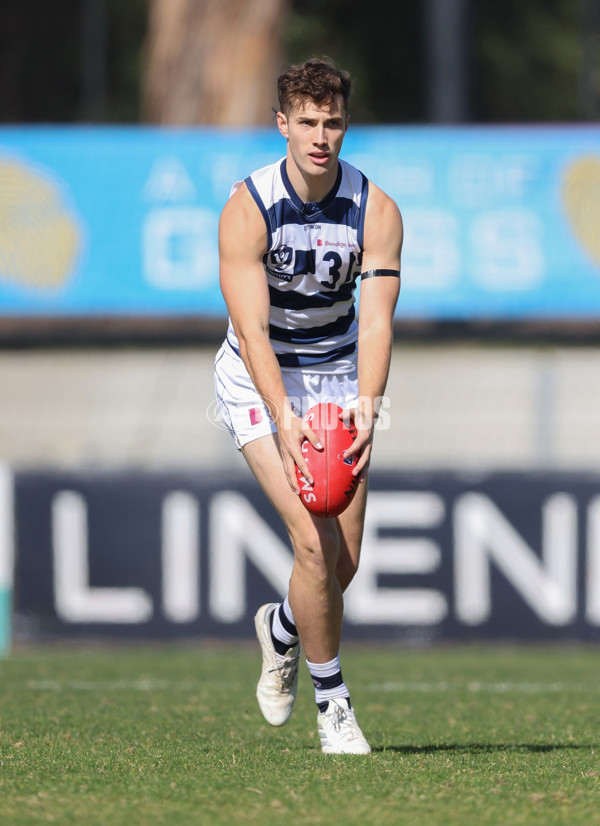 VFL 2024 Round 21 - Sandringham v Geelong - A-53310991