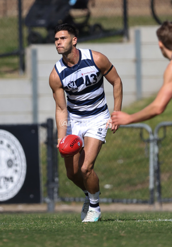 VFL 2024 Round 21 - Sandringham v Geelong - A-53310992