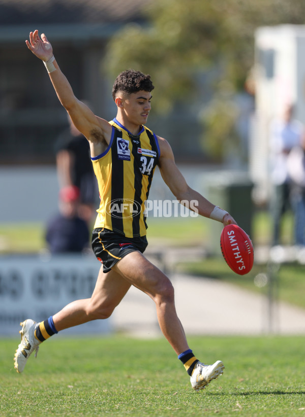 VFL 2024 Round 21 - Sandringham v Geelong - A-53310994