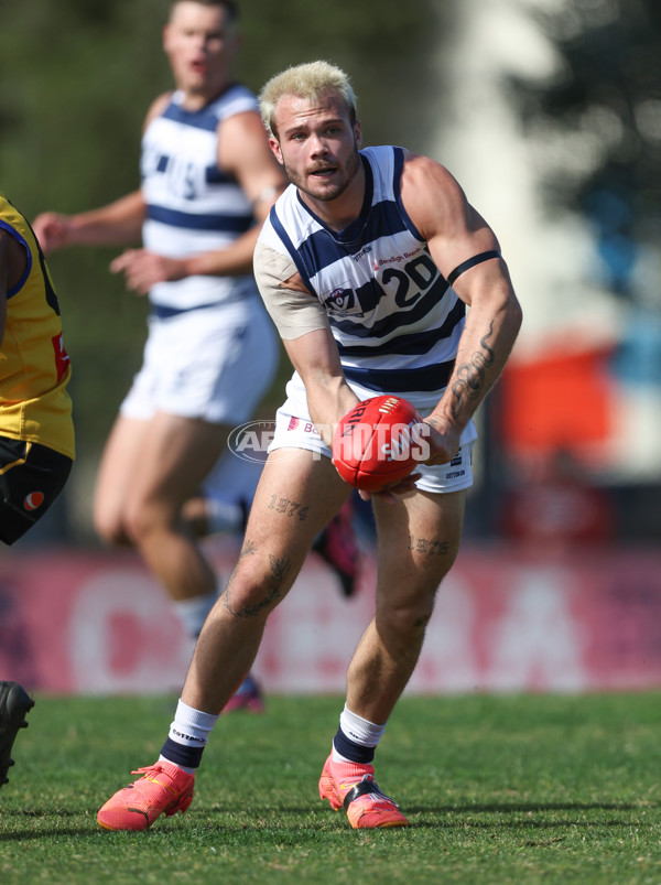 VFL 2024 Round 21 - Sandringham v Geelong - A-53310997