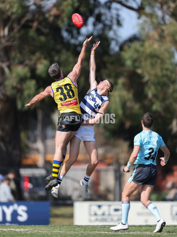 VFL 2024 Round 21 - Sandringham v Geelong - A-53310999