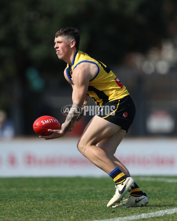 VFL 2024 Round 21 - Sandringham v Geelong - A-53311003