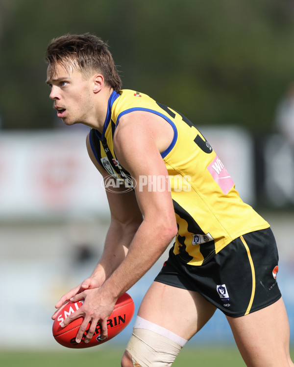 VFL 2024 Round 21 - Sandringham v Geelong - A-53313589