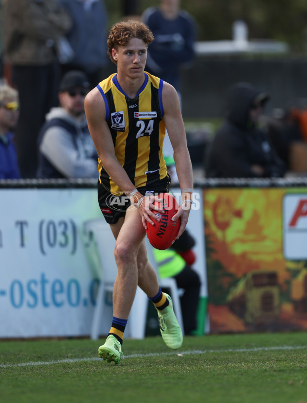 VFL 2024 Round 21 - Sandringham v Geelong - A-53313590