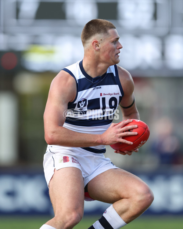 VFL 2024 Round 21 - Sandringham v Geelong - A-53313593