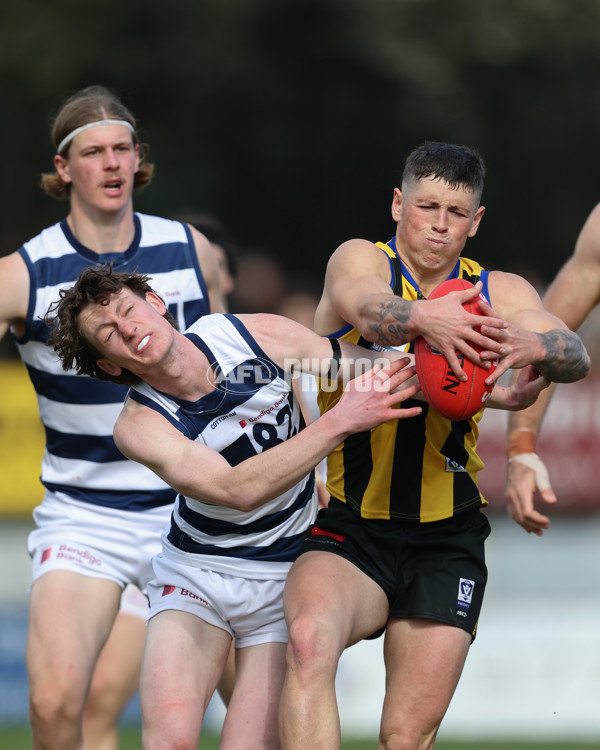 VFL 2024 Round 21 - Sandringham v Geelong - A-53313595