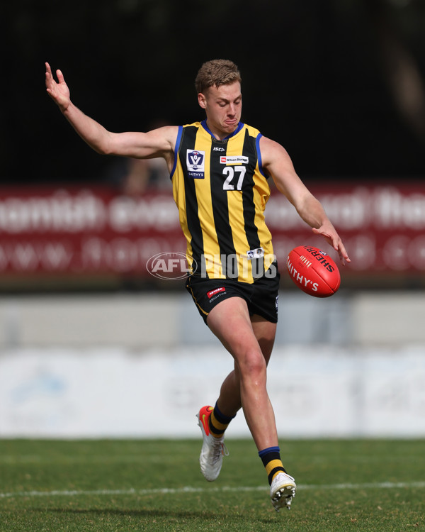 VFL 2024 Round 21 - Sandringham v Geelong - A-53313609