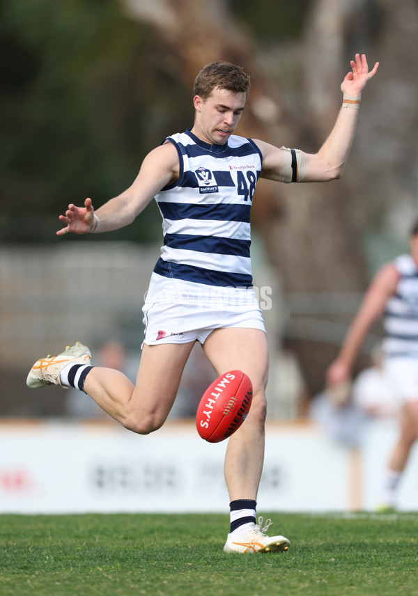 VFL 2024 Round 21 - Sandringham v Geelong - A-53313611