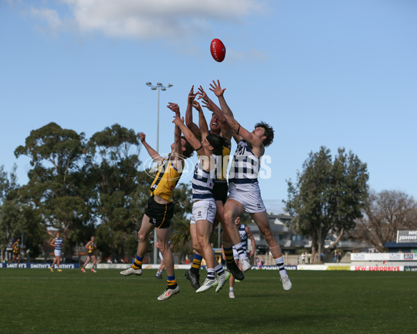 VFL 2024 Round 21 - Sandringham v Geelong - A-53313615