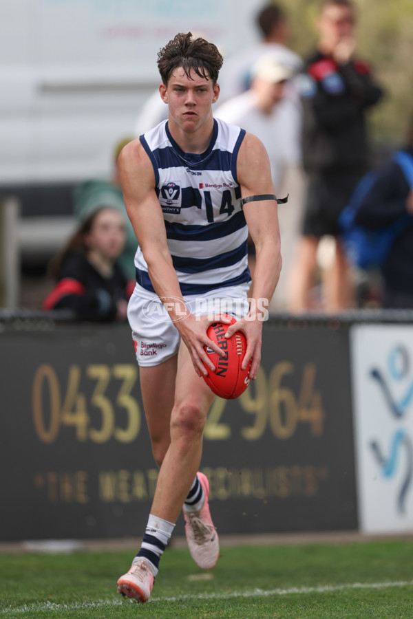 VFL 2024 Round 21 - Sandringham v Geelong - A-53313619