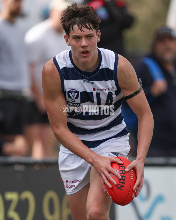 VFL 2024 Round 21 - Sandringham v Geelong - A-53313621