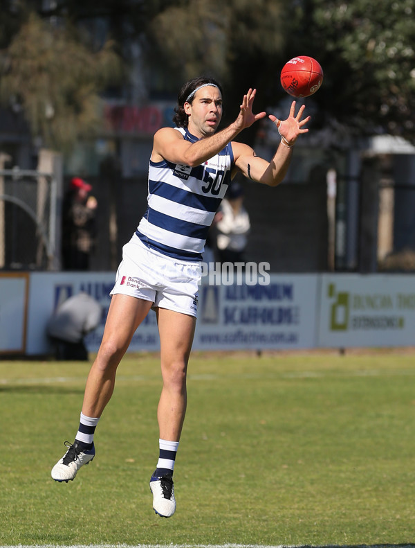 VFL 2024 Round 21 - Sandringham v Geelong - A-53313622