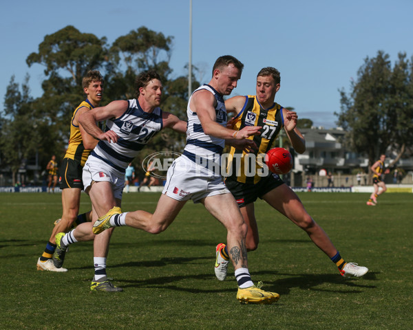 VFL 2024 Round 21 - Sandringham v Geelong - A-53313624