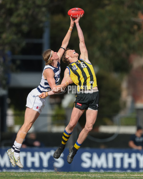 VFL 2024 Round 21 - Sandringham v Geelong - A-53313626