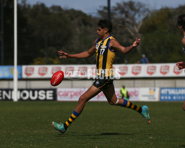 VFL 2024 Round 21 - Sandringham v Geelong - A-53313627