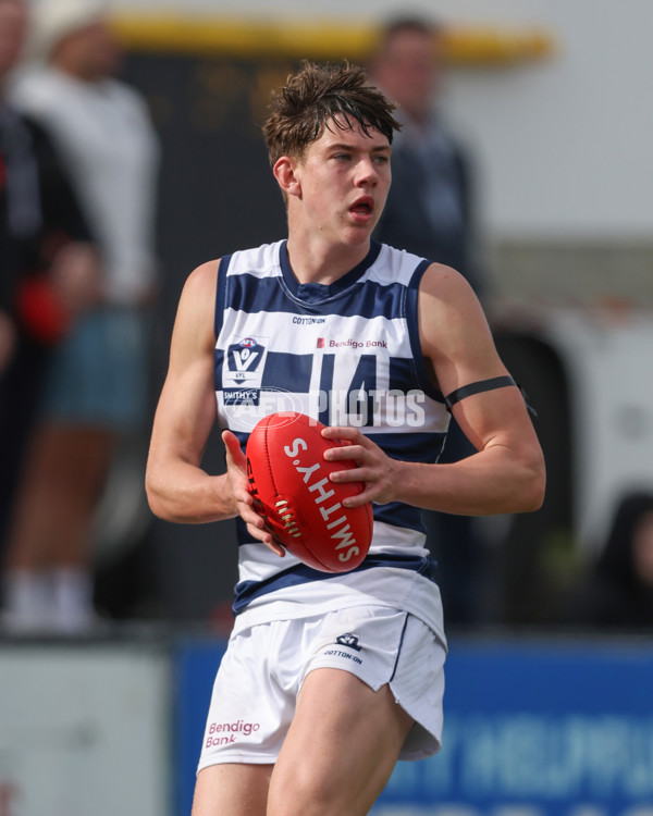 VFL 2024 Round 21 - Sandringham v Geelong - A-53313628