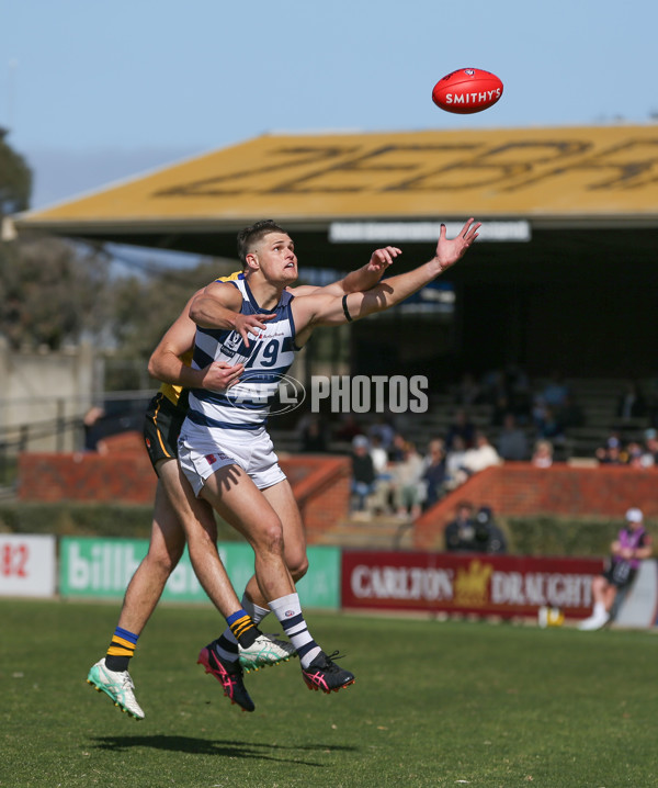 VFL 2024 Round 21 - Sandringham v Geelong - A-53313631