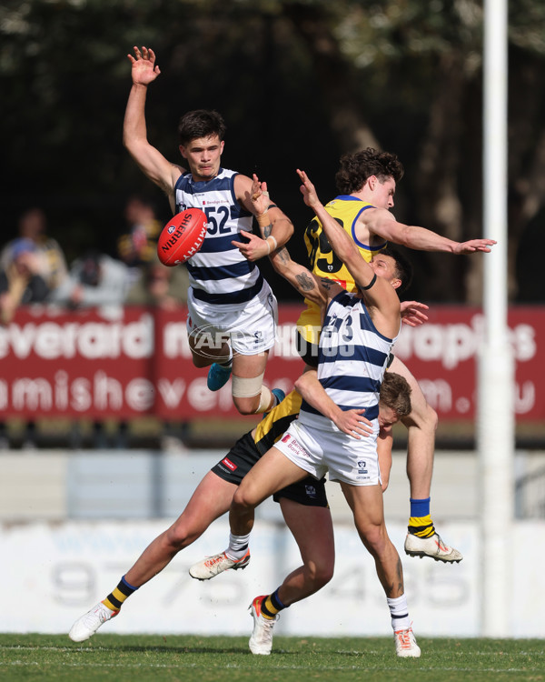 VFL 2024 Round 21 - Sandringham v Geelong - A-53313632