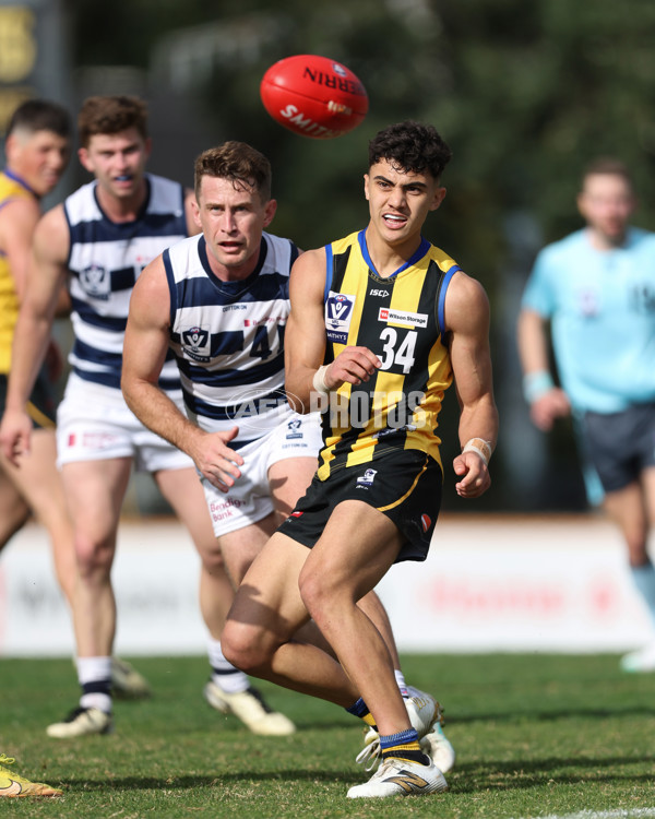 VFL 2024 Round 21 - Sandringham v Geelong - A-53313633