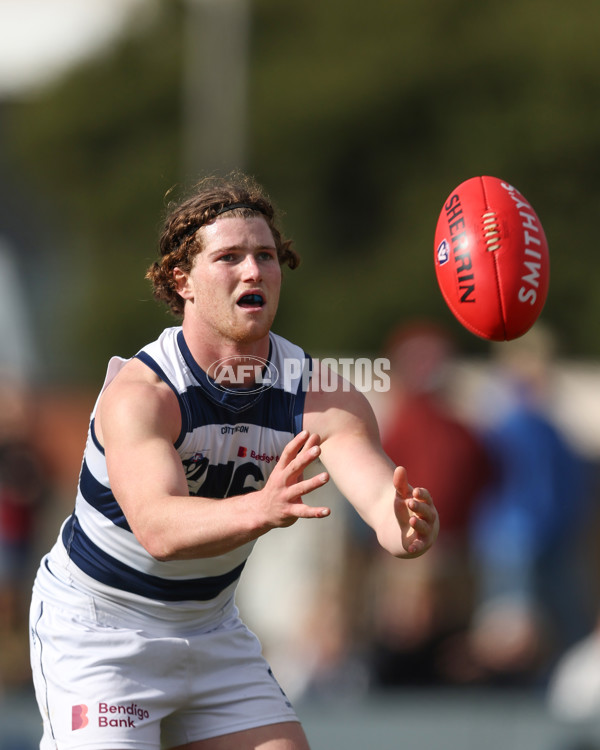 VFL 2024 Round 21 - Sandringham v Geelong - A-53313634