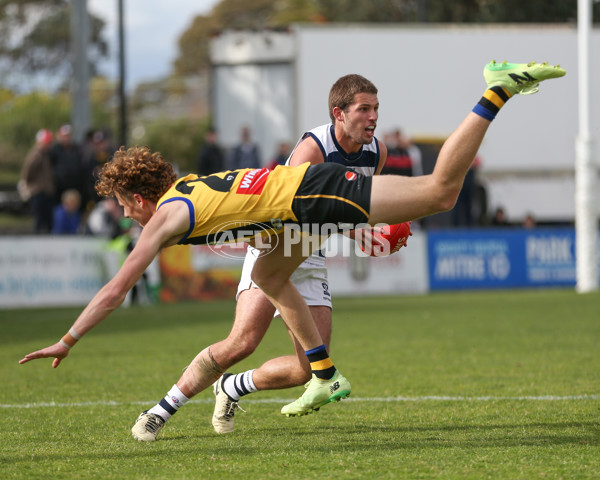 VFL 2024 Round 21 - Sandringham v Geelong - A-53313637