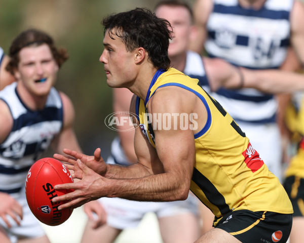 VFL 2024 Round 21 - Sandringham v Geelong - A-53313638