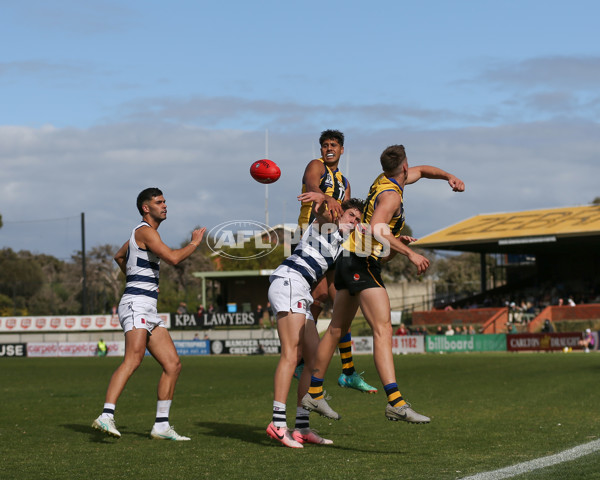 VFL 2024 Round 21 - Sandringham v Geelong - A-53313641