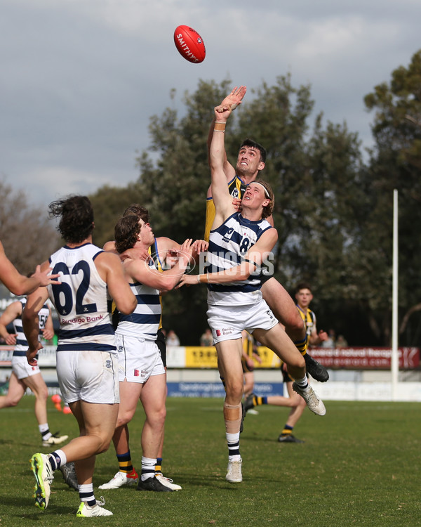 VFL 2024 Round 21 - Sandringham v Geelong - A-53313643