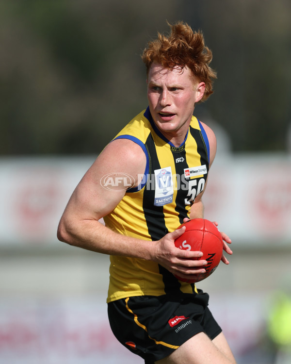 VFL 2024 Round 21 - Sandringham v Geelong - A-53313644