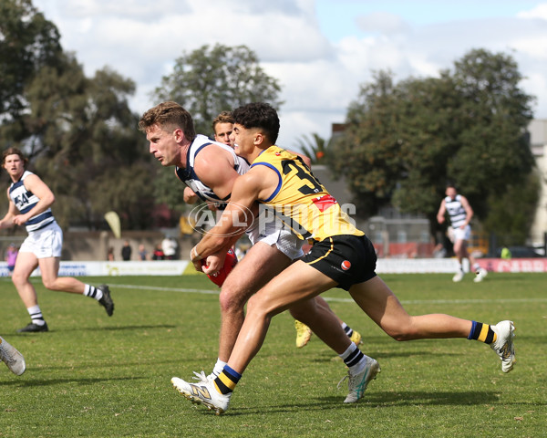 VFL 2024 Round 21 - Sandringham v Geelong - A-53313647