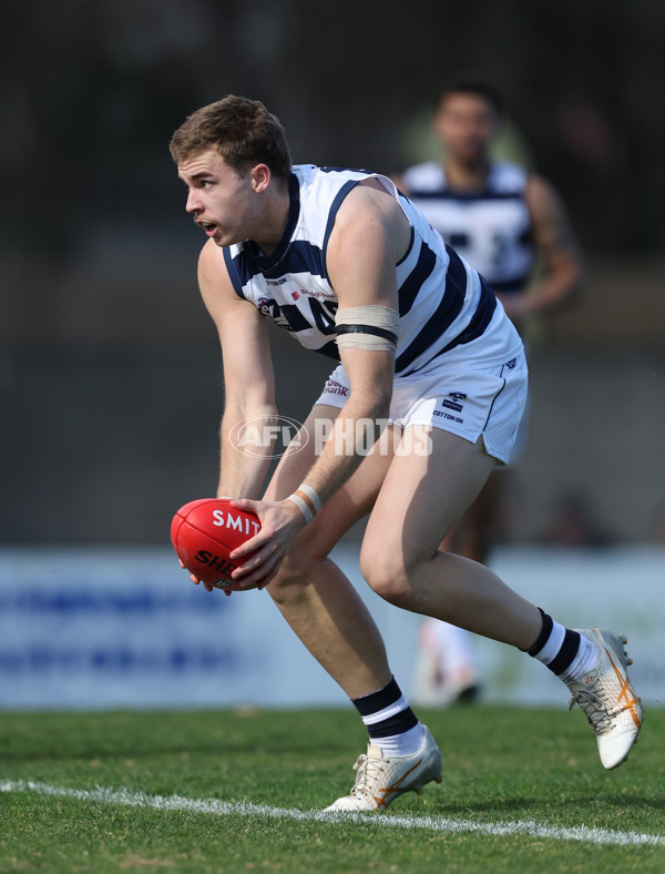 VFL 2024 Round 21 - Sandringham v Geelong - A-53313866