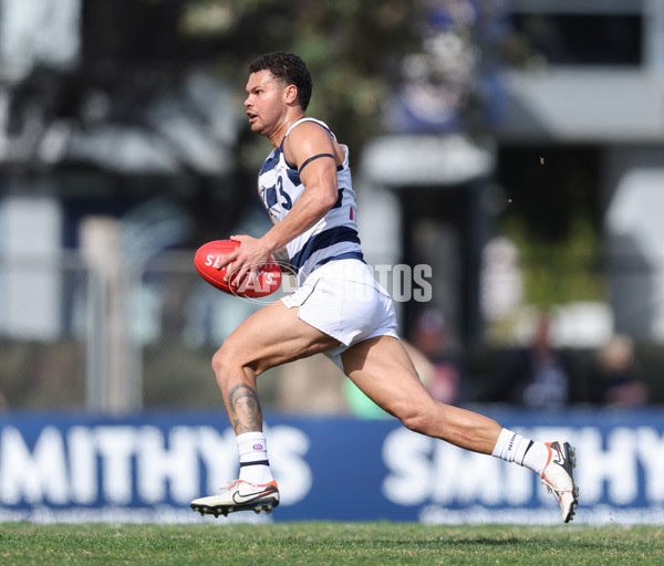 VFL 2024 Round 21 - Sandringham v Geelong - A-53313867